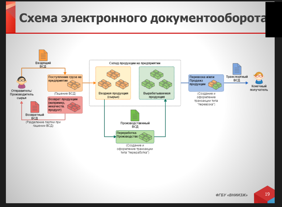 Специалист эдо вакансии. Схема электронного документооборота Меркурий. Схема электронного документооборота в 1с документооборот. Электронный документооборот схема работы. Система управления документами схема.