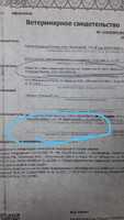 screenshot_1_1635836647_WhatsApp_Image_2021-11-02_at_13.45.05.jpeg